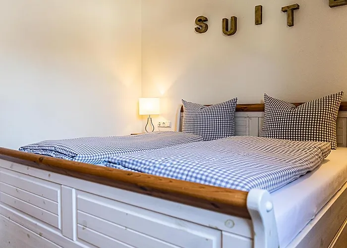 Steibis Suite
